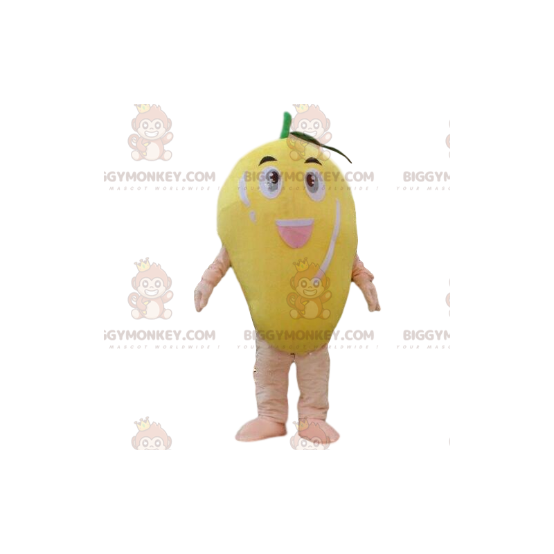 Mango BIGGYMONKEY™ mascot costume, fruit costume, exotic fruit