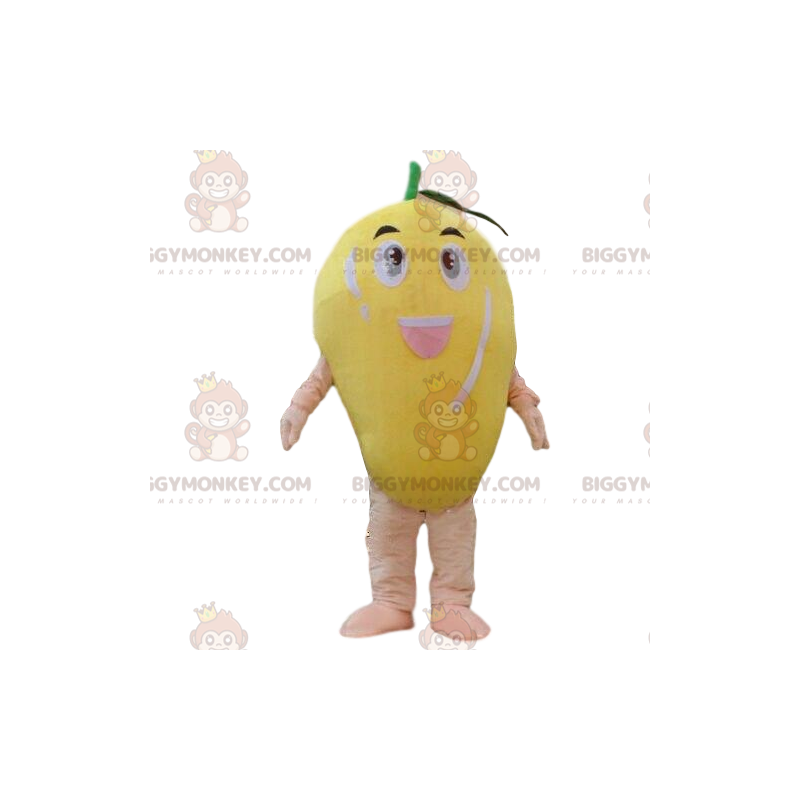 Mango BIGGYMONKEY™ maskottiasu, hedelmäpuku, eksoottisten Mango BIGGYMONKEY™ maskottiasu, hedelmäpuku, eksoottisten