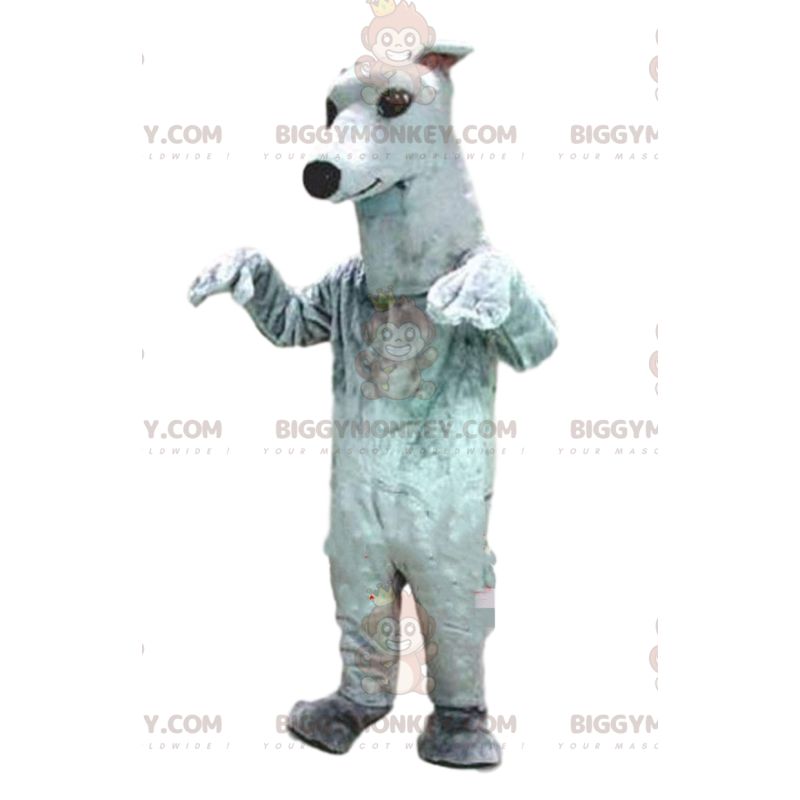 Greyhound BIGGYMONKEY™ mascottekostuum, hondenkostuum, witte