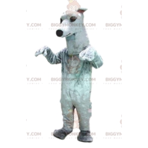 Greyhound BIGGYMONKEY™ maskotkostume, hundekostume, hvid hund - Hunde maskoter - BIGGYMONKEY_08424 - BiggyMonkey.com