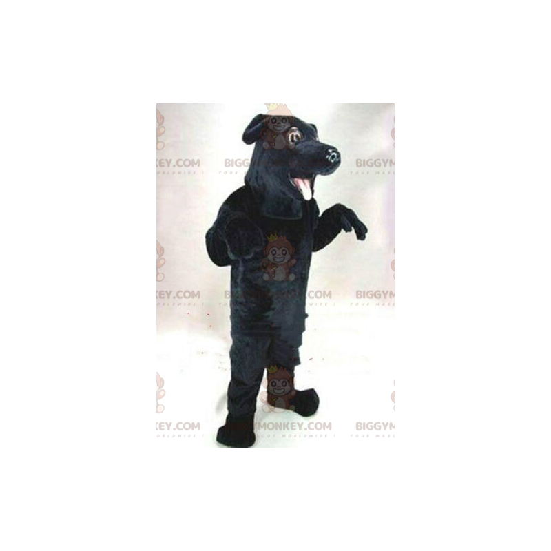 Black dog BIGGYMONKEY™ mascot costume, labrador costume, canine Black dog BIGGYMONKEY™ mascot costume, labrador costume, canine