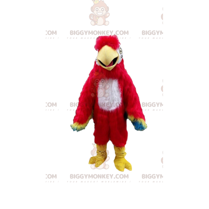 Papegoja BIGGYMONKEY™ maskotdräkt, exotisk fågelkostym Papegoja BIGGYMONKEY™ maskotdräkt, exotisk fågelkostym