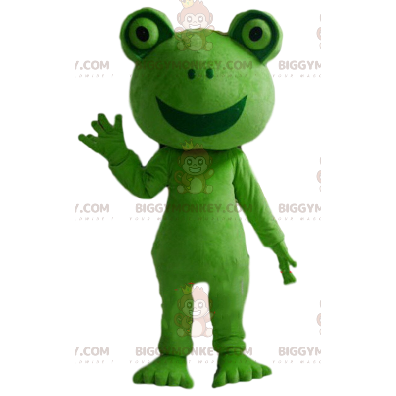 Green frog BIGGYMONKEY™ mascot costume, green toad costume – Green frog BIGGYMONKEY™ mascot costume, green toad costume –