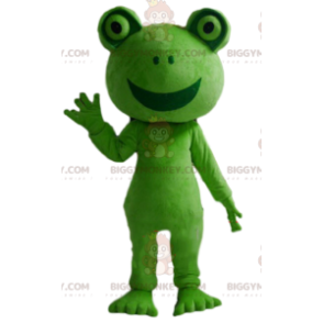Grüner Frosch BIGGYMONKEY™ Maskottchenkostüm, grünes