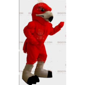 Costume de mascotte BIGGYMONKEY™ d'aigle rouge, costume d'oiseau, déguisement de vautour - Mascotte d'oiseaux - BiggyMonkey.com