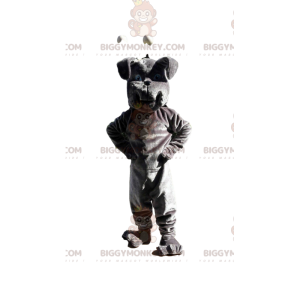 Gray bulldog BIGGYMONKEY™ mascot costume, dog costume, doggie
