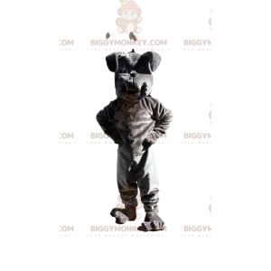 Kostým maskota šedého buldoka BIGGYMONKEY™, kostým psa, kostým