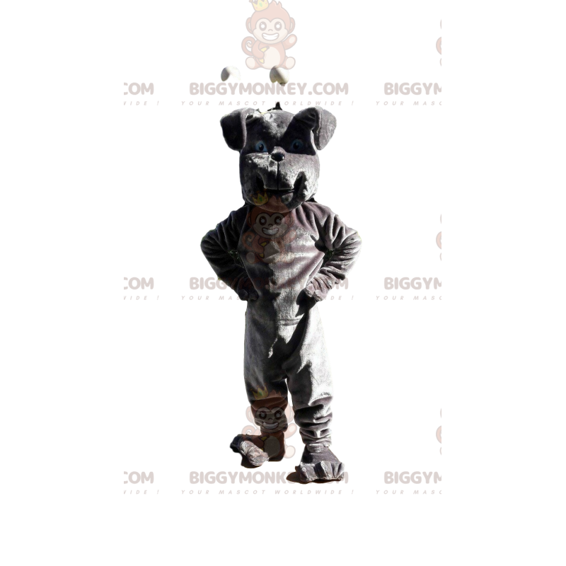 Gray bulldog BIGGYMONKEY™ mascot costume, dog costume, doggie