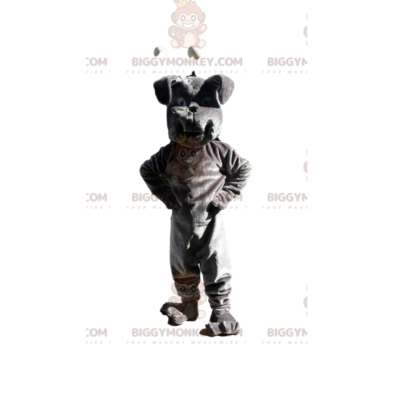 Kostým maskota šedého buldoka BIGGYMONKEY™, kostým psa, kostým Kostým maskota šedého buldoka BIGGYMONKEY™, kostým psa, kostým