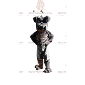 Gray bulldog BIGGYMONKEY™ mascot costume, dog costume, doggie