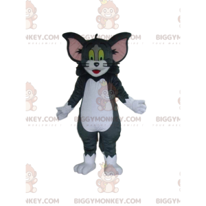 Costume della mascotte del famoso gatto BIGGYMONKEY™ di Tom e