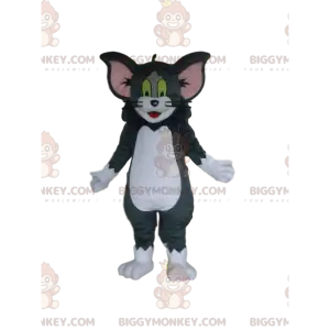 Tom und Jerrys berühmte Katze BIGGYMONKEY™ Maskottchenkostüm -