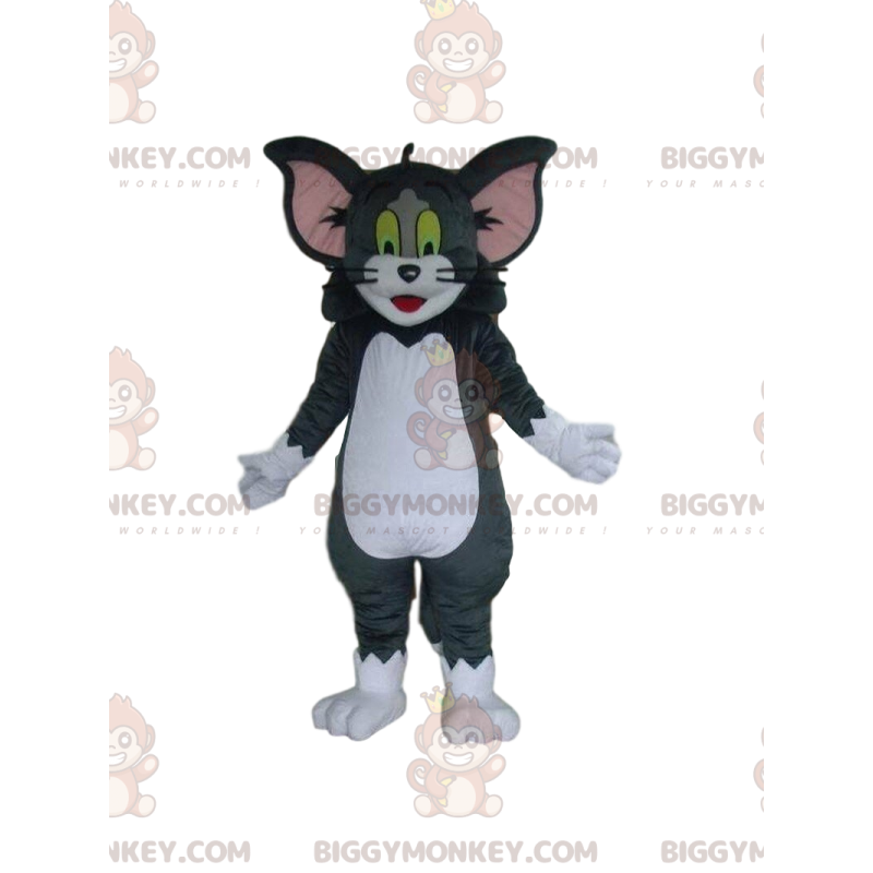 Tom ja Jerryn kuuluisa kissan BIGGYMONKEY™ maskottiasu -