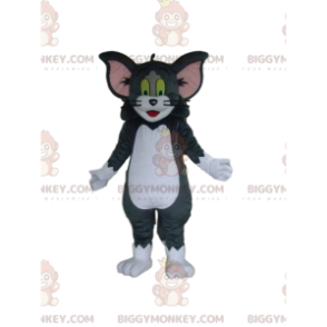 Fato de mascote BIGGYMONKEY™ do gato famoso de Tom e Jerry –