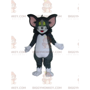 Tom ja Jerryn kuuluisa kissan BIGGYMONKEY™ maskottiasu -