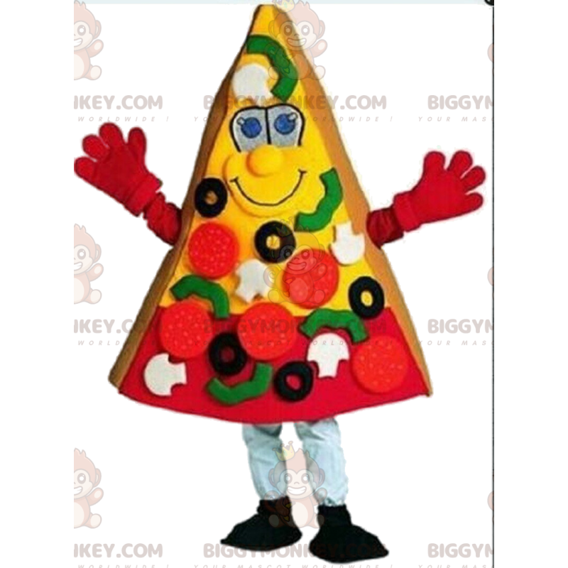 Costume de part de pizza géante, Costume de mascotte