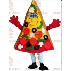 Costume de part de pizza géante, Costume de mascotte
