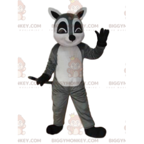 BIGGYMONKEY™ Maskottchenkostüm grauer und weißer Lemur