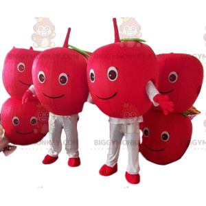 2 BIGGYMONKEY™s mascot red cherries, 2 red berries, red apples