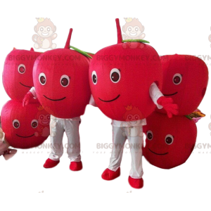 2 cerejas vermelhas mascote do BIGGYMONKEY™, 2 frutas