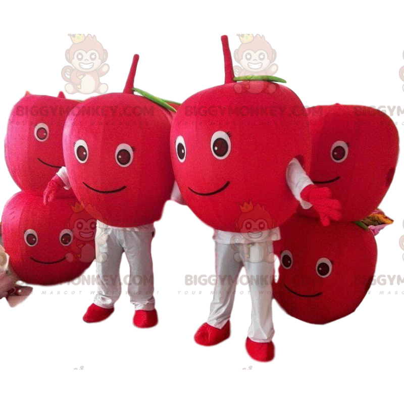 2 BIGGYMONKEY™s mascot red cherries, 2 red berries, red apples 2 BIGGYMONKEY™s mascot red cherries, 2 red berries, red apples