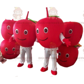 2 BIGGYMONKEY™s mascot red cherries, 2 red berries, red apples