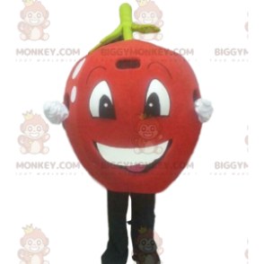 Red Apple BIGGYMONKEY™ Mascot Costume, Red Cherry Costume