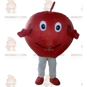 Costume de mascotte BIGGYMONKEY™ de pomme rouge, costume de