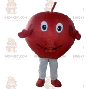 Fantasia de mascote BIGGYMONKEY™ de maçã vermelha, fantasia de