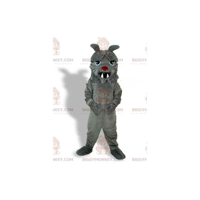 BIGGYMONKEY™ mascottekostuum van grijze buldog, hondenkostuum BIGGYMONKEY™ mascottekostuum van grijze buldog, hondenkostuum