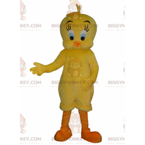 Il famoso costume della mascotte di Titti giallo canarino Titti