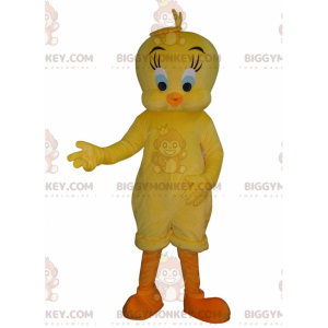 Kostým Tweetyho slavný žlutý kanár Tweety a Sylvester