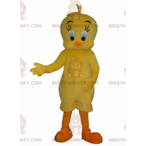 Tweety's Famous Yellow Canary Tweety and Sylvester BIGGYMONKEY™