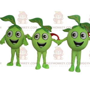 3 manzanas verdes, la mascota de la fruta verde BIGGYMONKEY™