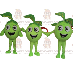 3 pommes vertes, mascotte BIGGYMONKEY™ de fruits verts, olives