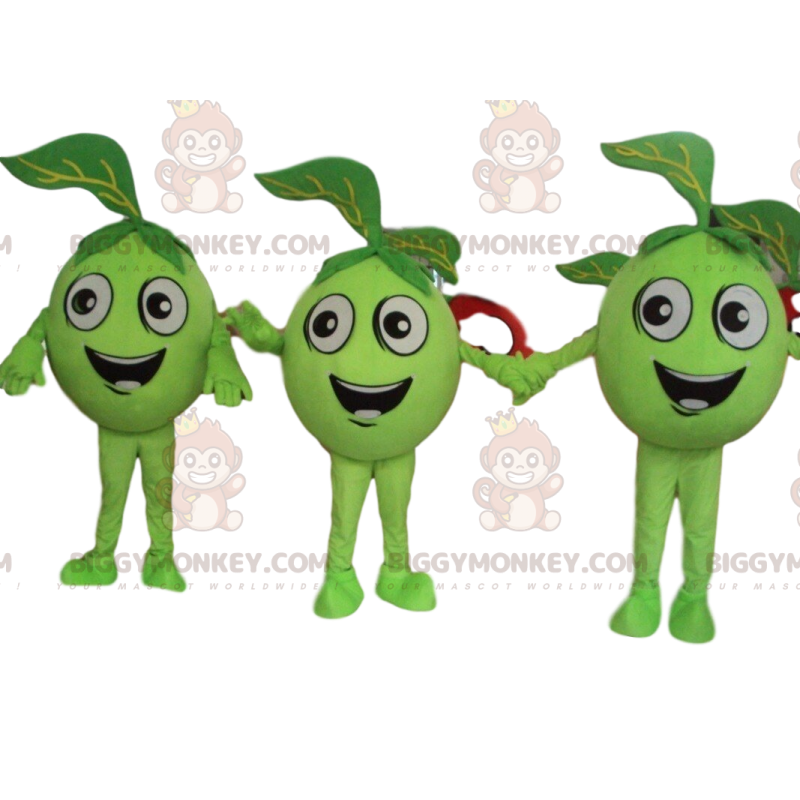 3 maçãs verdes, mascote de frutas verdes do BIGGYMONKEY™s
