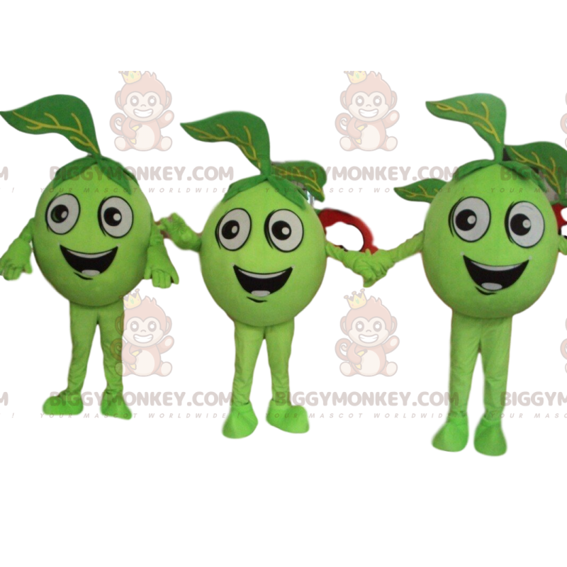 3 mele verdi, frutta verde mascotte di BIGGYMONKEY, olive