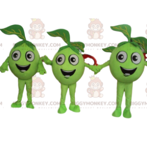 3 pommes vertes, mascotte BIGGYMONKEY™ de fruits verts, olives