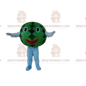 BIGGYMONKEY™ giant watermelon mascot costume, exotic fruit