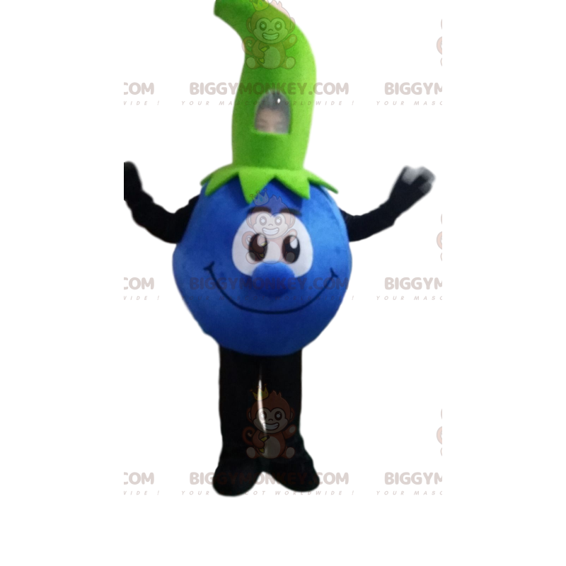 Kostým maskota Blueberry BIGGYMONKEY™, kostým modrého ovoce