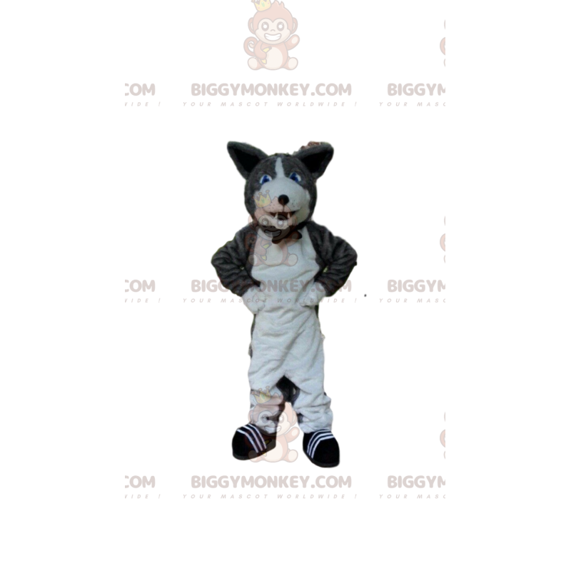BIGGYMONKEY™ maskotdräkt grå och vit hund, kenneldräkt - BIGGYMONKEY™ maskotdräkt grå och vit hund, kenneldräkt -