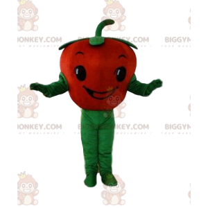 Tomato BIGGYMONKEY™ mascot costume, vegetable costume, red