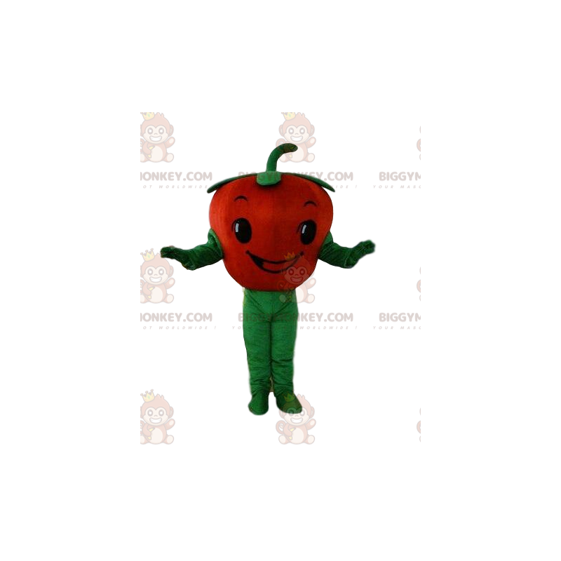 Costume da mascotte Pomodoro BIGGYMONKEY™, costume da verdura