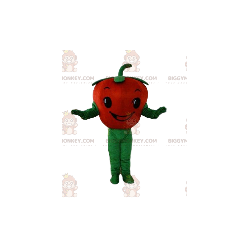Tomato BIGGYMONKEY™ mascot costume, vegetable costume, red