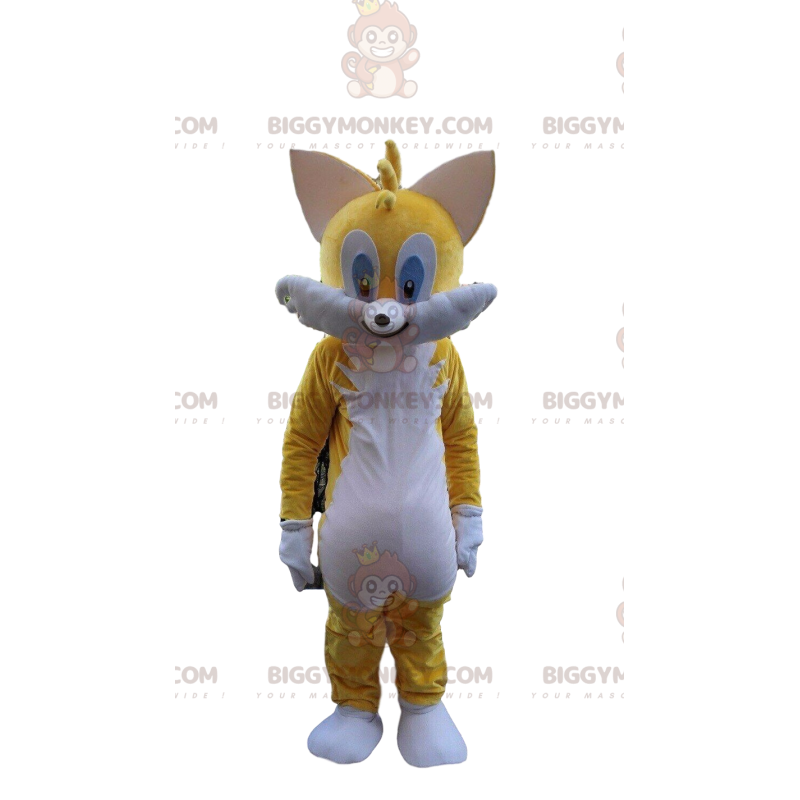 Fantasia Do Tails Sonic