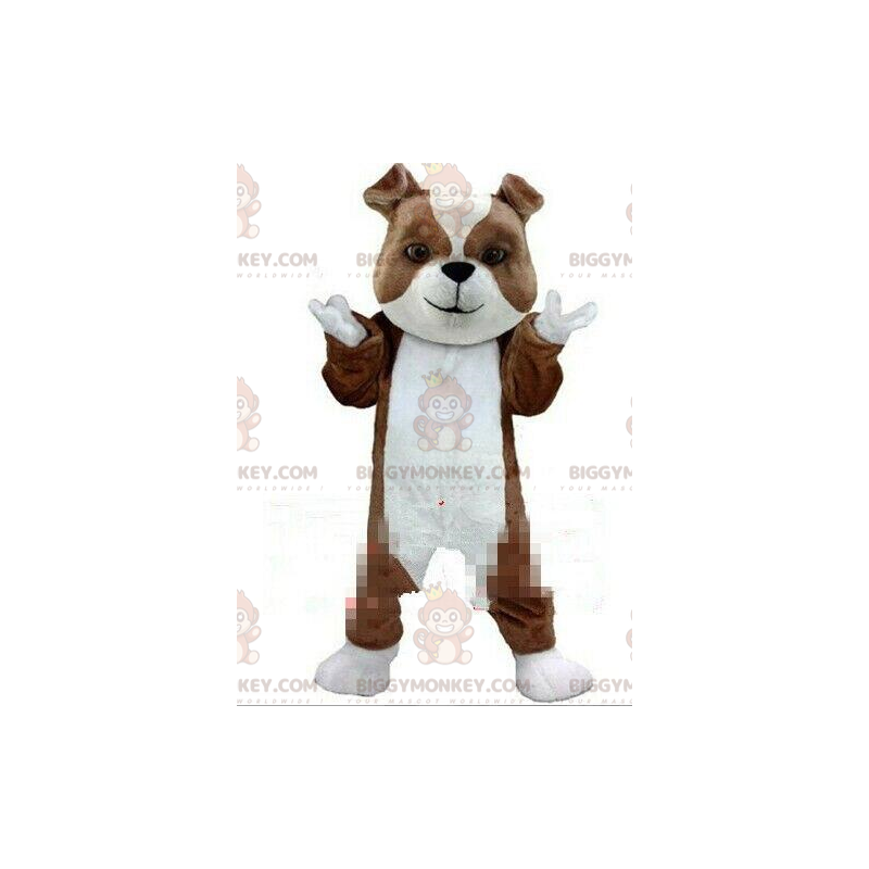 Brun och vit hund BIGGYMONKEY™ maskotdräkt, renrasig hunddräkt Brun och vit hund BIGGYMONKEY™ maskotdräkt, renrasig hunddräkt