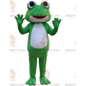 Kostým maskota BIGGYMONKEY™ zelená a bílá žába, kostým ropucha