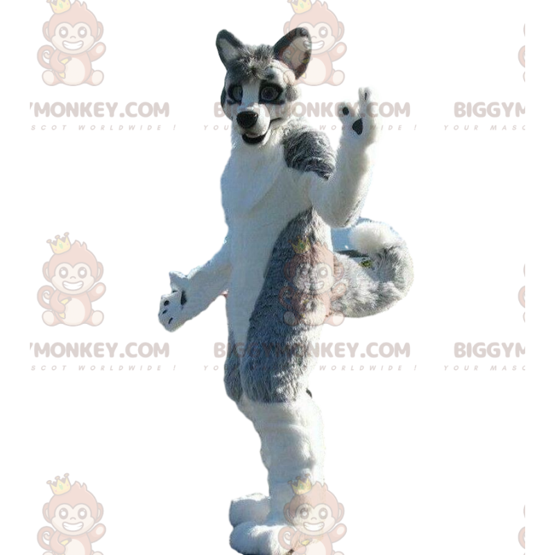 Kostium maskotka BIGGYMONKEY™ psa husky, kostium psa szarego Kostium maskotka BIGGYMONKEY™ psa husky, kostium psa szarego