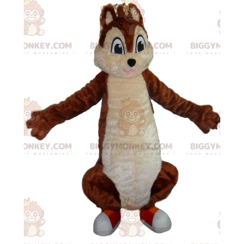 BIGGYMONKEY™ maskotdräkt brun och vit ekorre, skogsdräkt - BIGGYMONKEY™ maskotdräkt brun och vit ekorre, skogsdräkt -