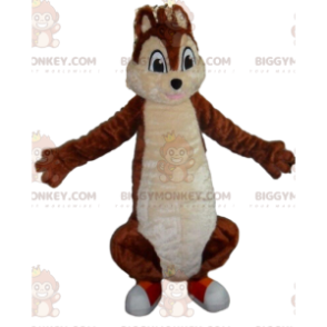 Kostým maskota BIGGYMONKEY™ hnědobílá veverka, lesní kostým - Veverkové maskoti - BIGGYMONKEY_09021 - BiggyMonkey.com